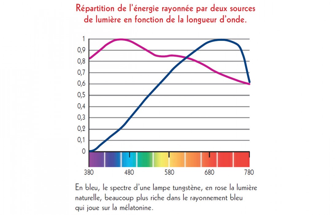 Répartition de l'énergie rayonnée par deux sources de lumière en fonction de la longueur d'onde