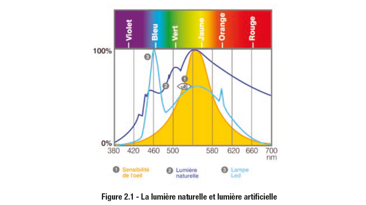 Schéma lumière naturelle et lumière artificielle extrait livre blanc