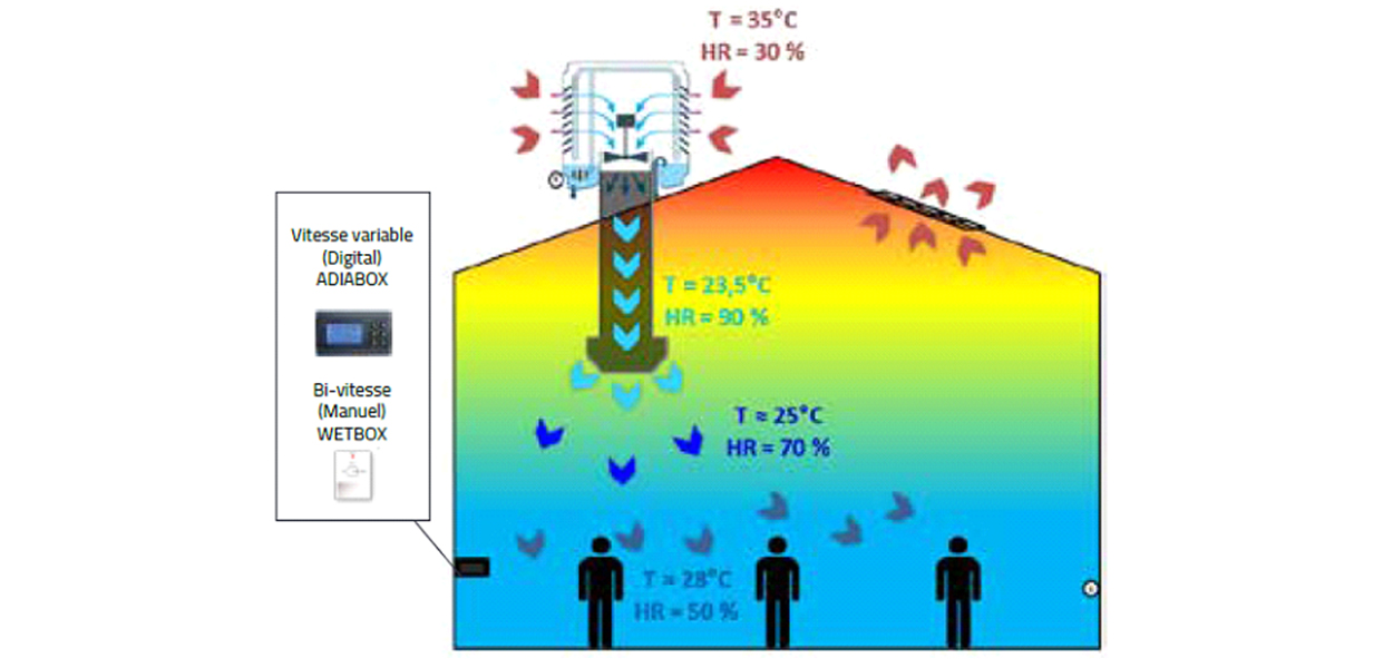 Technologie adiabatique actualité Bluetek