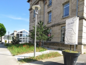 Lanterneaux BSL sur la Petite Halle de L'Octroi à Nancy